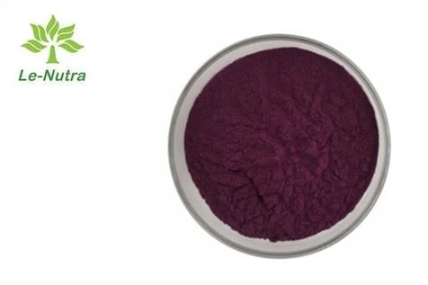 Blueberry extract poeder