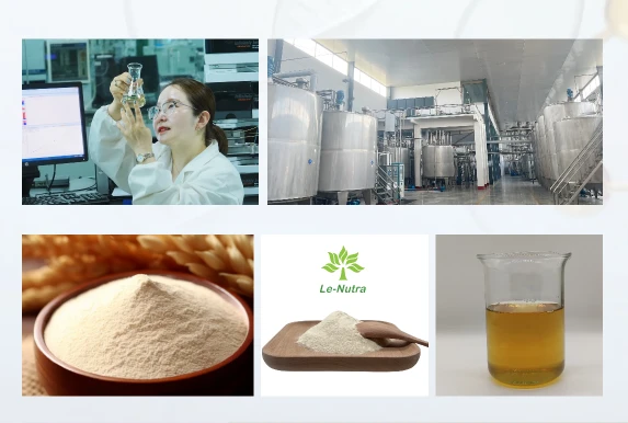 Hydrolysed Soy Protein Powder